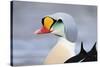 Eider-Staffan Widstrand-Stretched Canvas