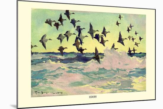 Eiders-Frank Weston Benson-Mounted Art Print