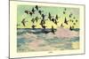 Eiders-Frank Weston Benson-Mounted Art Print