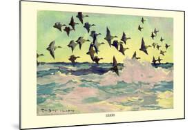 Eiders-Frank Weston Benson-Mounted Art Print