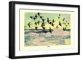 Eiders-Frank Weston Benson-Framed Art Print