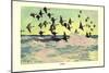 Eiders-Frank Weston Benson-Mounted Art Print