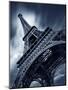 Eiffel 2 Color-Moises Levy-Mounted Photographic Print