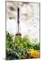 Eiffel Flowers - In the Style of Oil Painting-Philippe Hugonnard-Mounted Giclee Print