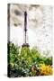 Eiffel Flowers - In the Style of Oil Painting-Philippe Hugonnard-Stretched Canvas
