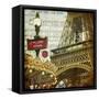 Eiffel Romance VI-Sandy Lloyd-Framed Stretched Canvas