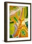 Eiffel Tower, 1924 (Oil on Canvas)-Robert Delaunay-Framed Giclee Print