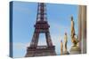 Eiffel Tower and Les Oiseaux Statues-Cora Niele-Stretched Canvas