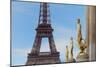 Eiffel Tower and Les Oiseaux Statues-Cora Niele-Mounted Photographic Print