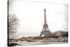 Eiffel Tower and Seine River in Paris-TEA-Stretched Canvas