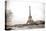Eiffel Tower and Seine River in Paris-TEA-Stretched Canvas