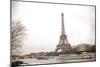 Eiffel Tower and Seine River in Paris-TEA-Mounted Photographic Print