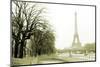 Eiffel Tower and Seine River in Paris-TEA-Mounted Photographic Print