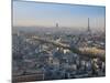 Eiffel Tower and Skyline of Paris, France-Jon Arnold-Mounted Photographic Print