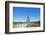 Eiffel Tower and the Trocadero Fountains, Paris, France, Europe-Neale Clark-Framed Photographic Print