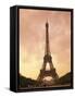 Eiffel Tower at Dusk, Paris, France, Europe-null-Framed Stretched Canvas