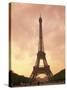 Eiffel Tower at Dusk, Paris, France, Europe-null-Stretched Canvas