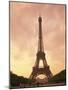 Eiffel Tower at Dusk, Paris, France, Europe-null-Mounted Photographic Print