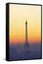 Eiffel Tower at Sunset, Paris, France, Europe-Neil-Framed Stretched Canvas