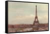 Eiffel Tower behind Jardin du Trocade?ro-Cora Niele-Framed Stretched Canvas