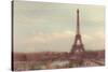 Eiffel Tower behind Jardin du Trocade?ro-Cora Niele-Stretched Canvas