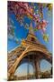 Eiffel Tower Bloom Twigs Paris-null-Mounted Art Print
