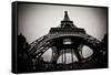 Eiffel Tower Fisheye-Erin Berzel-Framed Stretched Canvas