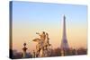Eiffel Tower from Place De La Concorde with Statue in Foreground, Paris, France, Europe-Neil-Stretched Canvas