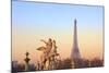 Eiffel Tower from Place De La Concorde with Statue in Foreground, Paris, France, Europe-Neil-Mounted Photographic Print