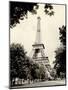 Eiffel Tower I - black and white-Amy Melious-Mounted Art Print