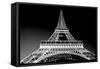 Eiffel Tower in Artistic Tone, Black and White. Paris, France. European Landmarks-Michal Bednarek-Framed Stretched Canvas