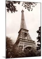 Eiffel Tower in Spring-Jonathan Larsen-Mounted Art Print