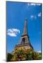 Eiffel Tower named after Gustave Eiffel, Paris, France.-Michael DeFreitas-Mounted Photographic Print