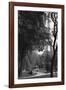 Eiffel Tower, Paris c1950-Jules Dortes-Framed Giclee Print