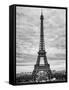 Eiffel Tower, Paris, France - Black and White Photography-Philippe Hugonnard-Framed Stretched Canvas