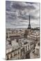 Eiffel Tower, Paris, France, Europe-Giles Bracher-Mounted Photographic Print