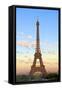 Eiffel Tower, Paris, France, Europe-Neil Farrin-Framed Stretched Canvas