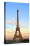 Eiffel Tower, Paris, France, Europe-Neil Farrin-Stretched Canvas