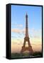 Eiffel Tower, Paris, France, Europe-Neil Farrin-Framed Stretched Canvas