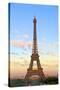 Eiffel Tower, Paris, France, Europe-Neil Farrin-Stretched Canvas