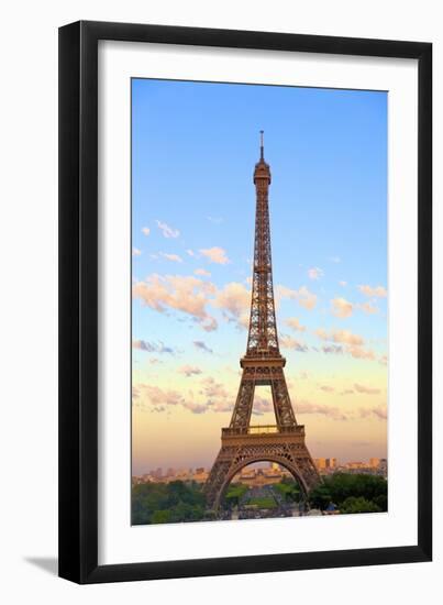 Eiffel Tower, Paris, France, Europe-Neil Farrin-Framed Photographic Print