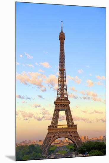 Eiffel Tower, Paris, France, Europe-Neil Farrin-Mounted Photographic Print