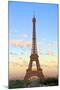 Eiffel Tower, Paris, France, Europe-Neil Farrin-Mounted Photographic Print