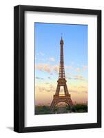 Eiffel Tower, Paris, France, Europe-Neil Farrin-Framed Photographic Print