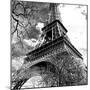 Eiffel Tower - Paris - France - Europe-Philippe Hugonnard-Mounted Premium Photographic Print