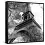 Eiffel Tower - Paris - France - Europe-Philippe Hugonnard-Framed Stretched Canvas