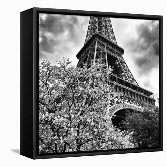 Eiffel Tower - Paris - France - Europe-Philippe Hugonnard-Framed Stretched Canvas