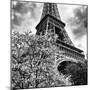 Eiffel Tower - Paris - France - Europe-Philippe Hugonnard-Mounted Photographic Print
