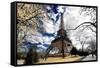 Eiffel Tower - Paris - France - Europe-Philippe Hugonnard-Framed Stretched Canvas