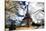 Eiffel Tower - Paris - France - Europe-Philippe Hugonnard-Stretched Canvas